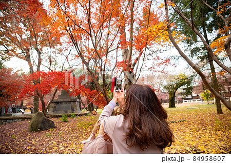 スマホで紅葉を撮影する女性 スマホで紅葉を撮影する女性 84958607