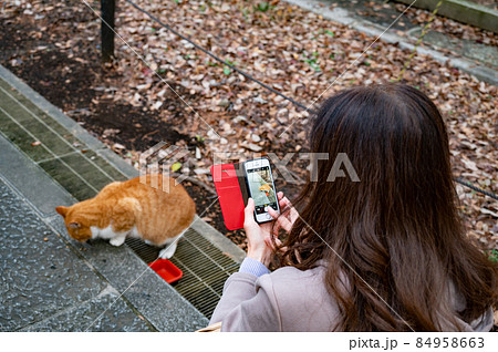 餌を食べる猫を撮影する女性 餌を食べる猫を撮影する女性 84958663