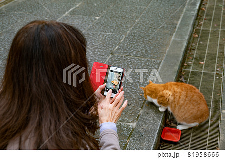 餌を食べる猫を撮影する女性 餌を食べる猫を撮影する女性 84958666