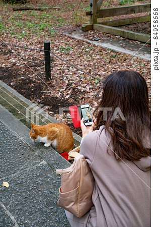 餌を食べる猫を撮影する女性 餌を食べる猫を撮影する女性 84958668