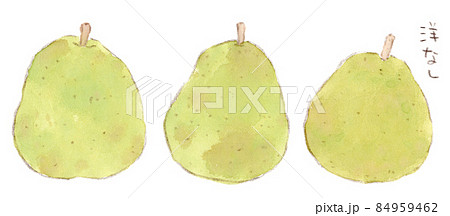 秋〜冬の果物：洋ナシ（西洋梨、ラ・フランス）の水彩画イラスト 84959462
