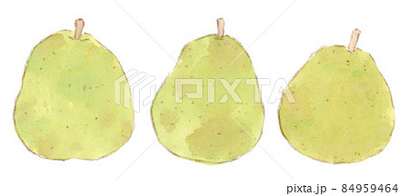 秋〜冬の果物：洋ナシ（西洋梨、ラ・フランス）の水彩画イラスト 84959464
