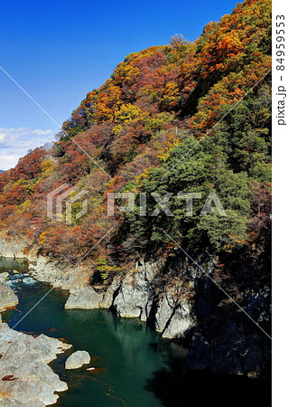 高津戸峡の紅葉 高津戸峡の紅葉 84959553