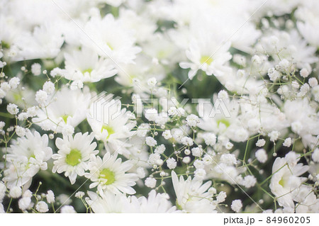 葬儀場のフラワー祭壇 84960205