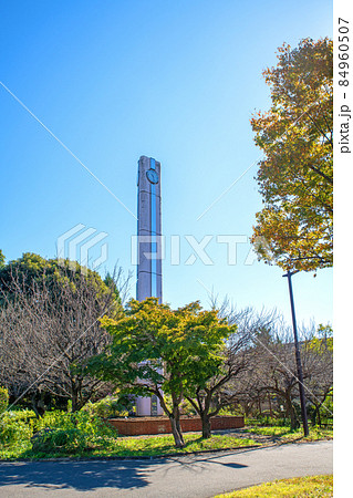 大宮第二公園 秋の風景 駐車場付近 大宮第二公園 秋の風景 駐車場付近 84960507