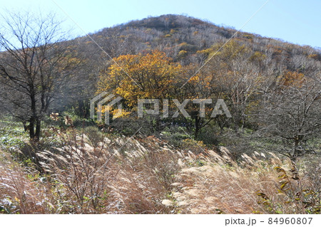 赤城山覚満のススキの原のわけ 84960807