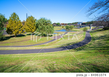 大宮第二公園 秋の風景 大宮第二公園 秋の風景 84961074