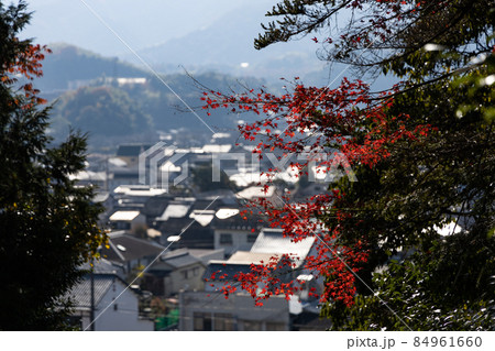 EOSRP.山口椎尾八幡宮、岩国町のぼかし。 84961660