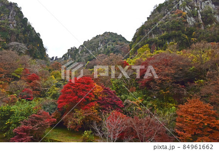 大分県　中津　耶馬渓の紅葉 84961662