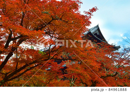 晩秋の京都市南禅寺の真っ赤なもみじ越しの山門が絶景かな 84961888
