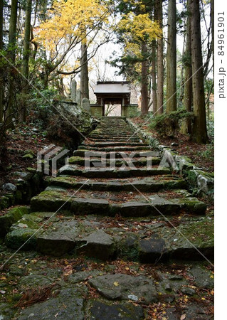 両子寺 もみじの絨毯 両子寺 もみじの絨毯 84961901