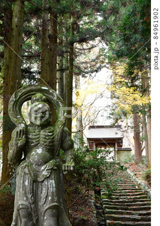 両子寺　もみじの絨毯 84961902
