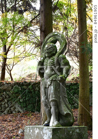 両子寺　もみじの絨毯 84961905