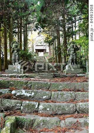 両子寺 もみじの絨毯 両子寺 もみじの絨毯 84961908