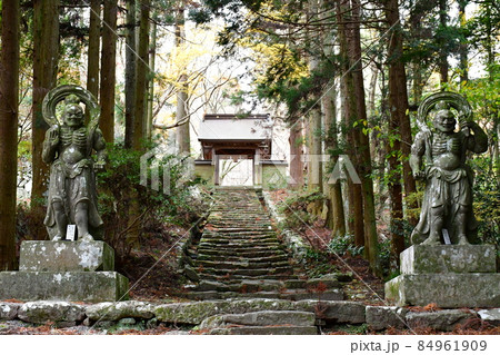 両子寺　もみじの絨毯 84961909