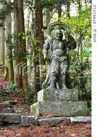 両子寺 もみじの絨毯 両子寺 もみじの絨毯 84961910