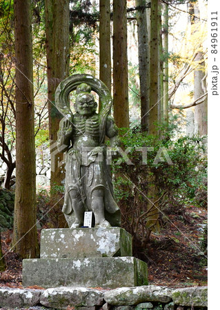 両子寺 もみじの絨毯 両子寺 もみじの絨毯 84961911