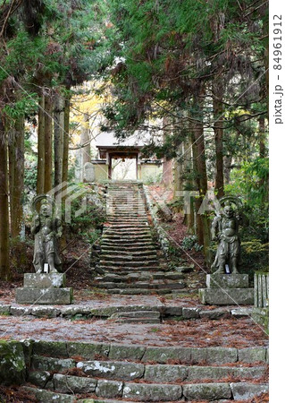 両子寺 もみじの絨毯 両子寺 もみじの絨毯 84961912