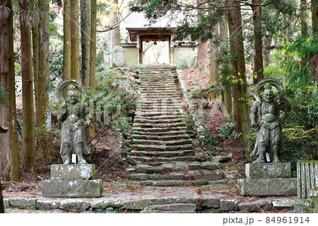 両子寺　もみじの絨毯 84961914