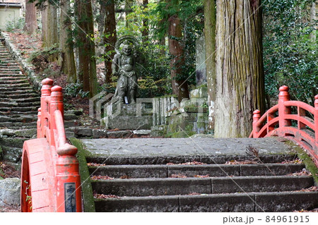 両子寺　もみじの絨毯 84961915