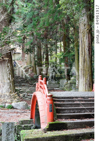両子寺 もみじの絨毯 両子寺 もみじの絨毯 84961917