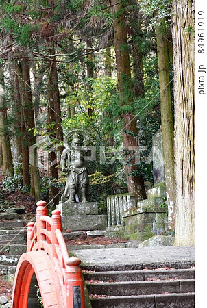 両子寺 もみじの絨毯 両子寺 もみじの絨毯 84961919