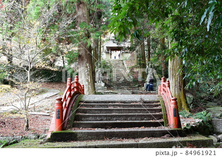 両子寺 もみじの絨毯 両子寺 もみじの絨毯 84961921