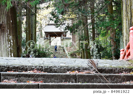 両子寺　もみじの絨毯 84961922