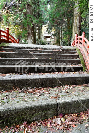 両子寺　もみじの絨毯 84961923