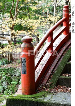 両子寺 もみじの絨毯 両子寺 もみじの絨毯 84961926