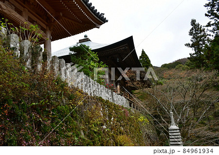 両子寺 もみじの絨毯 両子寺 もみじの絨毯 84961934