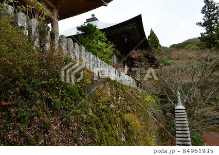 両子寺 もみじの絨毯 両子寺 もみじの絨毯 84961935
