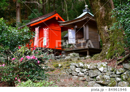 両子寺 もみじの絨毯 両子寺 もみじの絨毯 84961946
