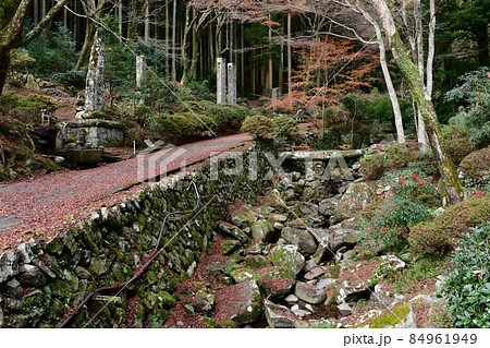 両子寺 もみじの絨毯 両子寺 もみじの絨毯 84961949