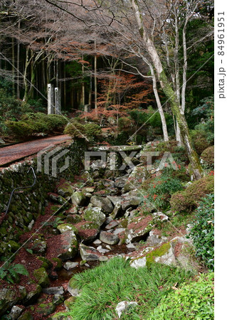 両子寺 もみじの絨毯 両子寺 もみじの絨毯 84961951
