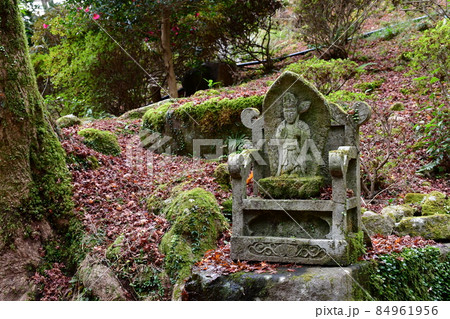両子寺　もみじの絨毯 84961956