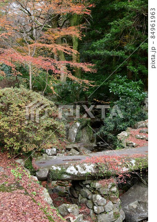 両子寺 もみじの絨毯 両子寺 もみじの絨毯 84961963