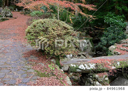 両子寺　もみじの絨毯 84961968