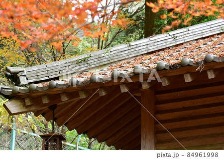 両子寺 もみじの絨毯 両子寺 もみじの絨毯 84961998