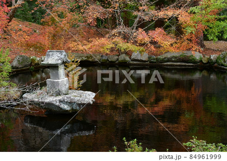 両子寺 もみじの絨毯 両子寺 もみじの絨毯 84961999