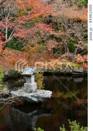 両子寺 もみじの絨毯 両子寺 もみじの絨毯 84962000
