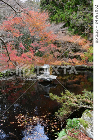 両子寺　もみじの絨毯 84962002