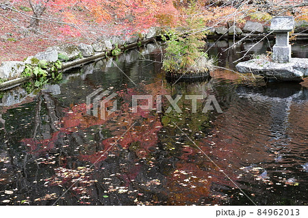 両子寺 もみじの絨毯 両子寺 もみじの絨毯 84962013