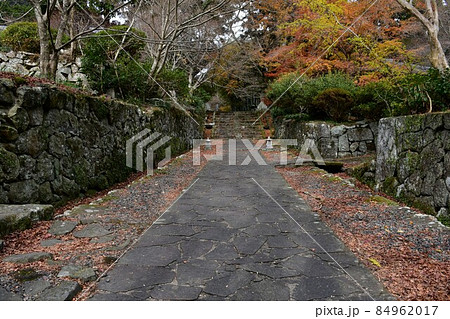 両子寺　もみじの絨毯 84962017