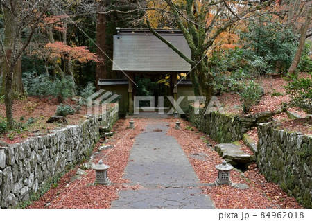 両子寺 もみじの絨毯 両子寺 もみじの絨毯 84962018