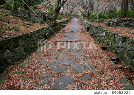 両子寺　もみじの絨毯 84962029