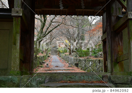 両子寺　もみじの絨毯 84962092