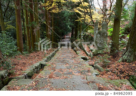 両子寺　もみじの絨毯 84962095