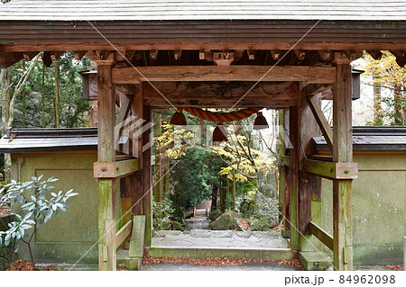 両子寺　もみじの絨毯 84962098