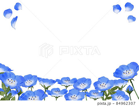 ネモフィラ　水彩風イラストフレーム 84962307